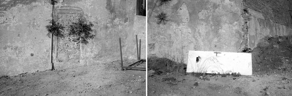 paralleli paralleli